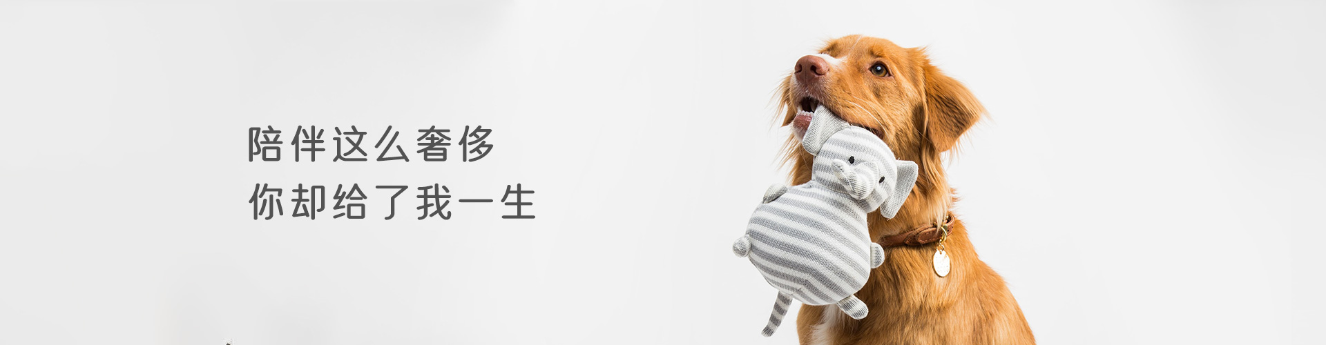 這(zhè)是(shì)描述信息 這(zhè)是(shì)描述信息